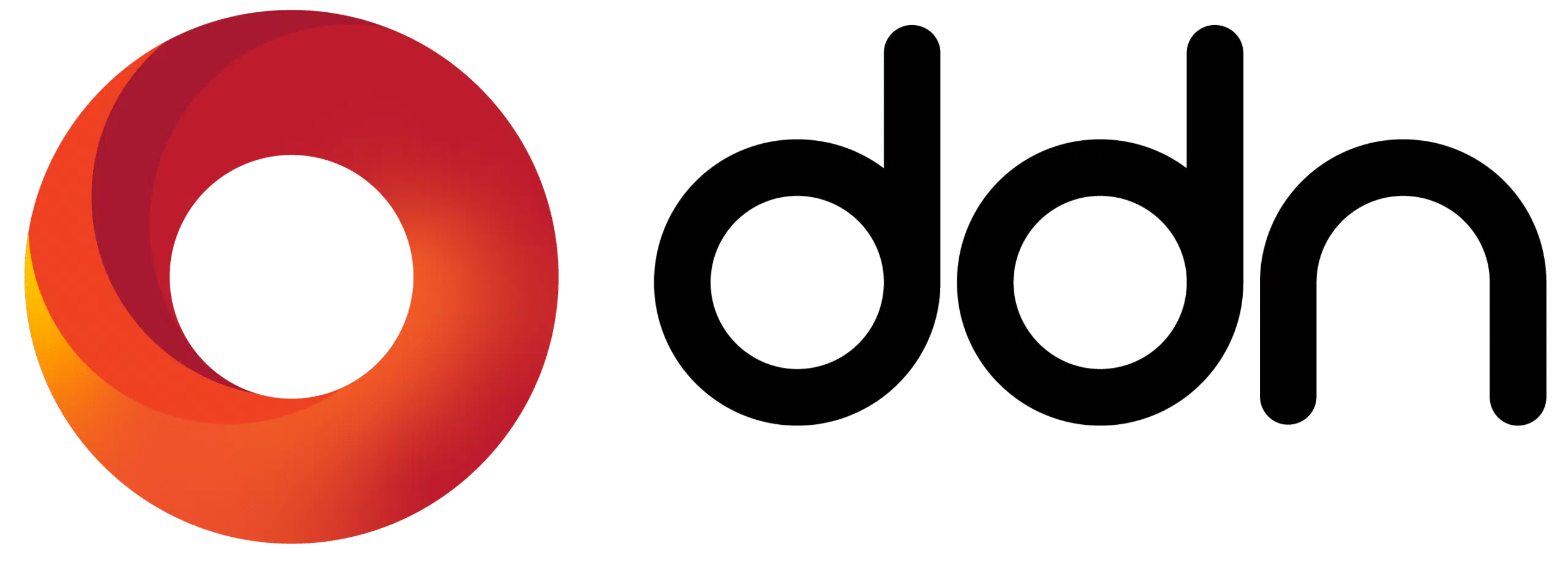 ddn-logo